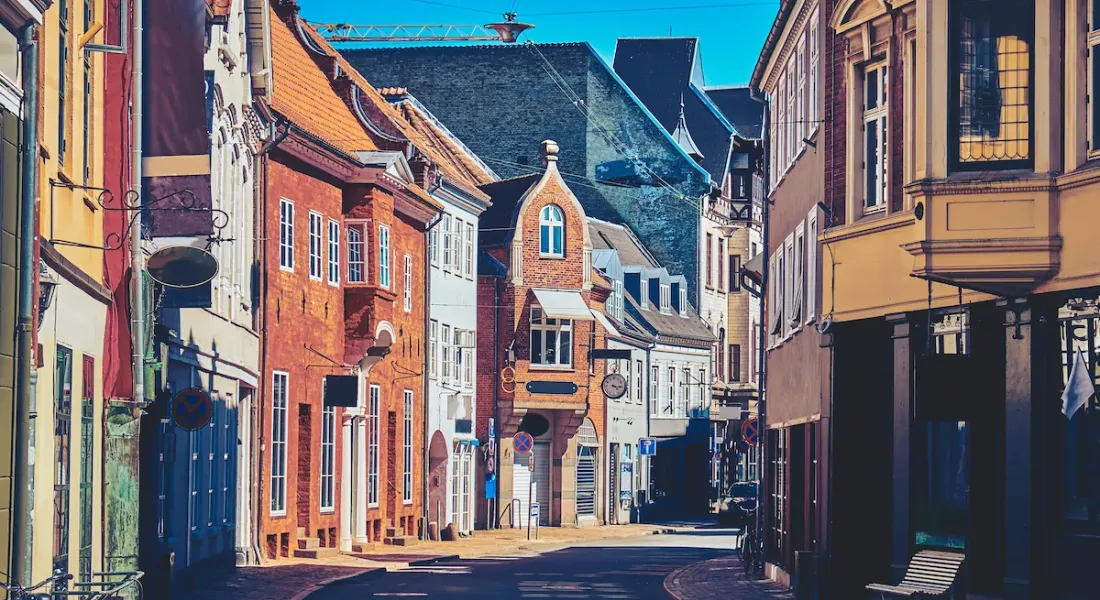 Zuid-Denemarken