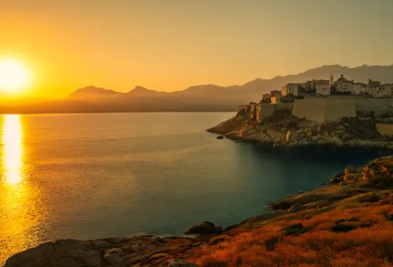 Calvi